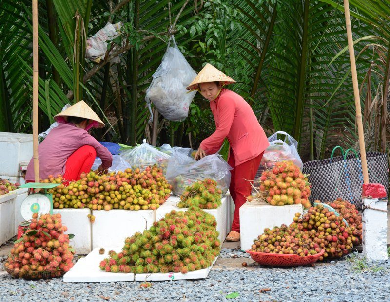 Deux femmes vietnamiennes vendant des rambutans frais au marché local de Ben Tre.