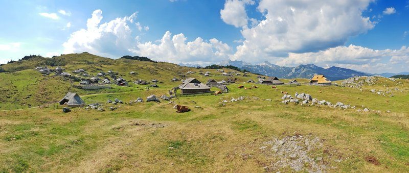 Vue panoramique du village pastoral de Velika Planina en Slovénie avec ses chalets traditionnels et les montagnes en arrière-plan.