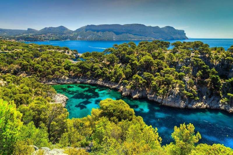 Vue panoramique sur une calanque de Cassis, entourée de pins verdoyants et d'une eau turquoise scintillante sous le soleil méditerranéen.