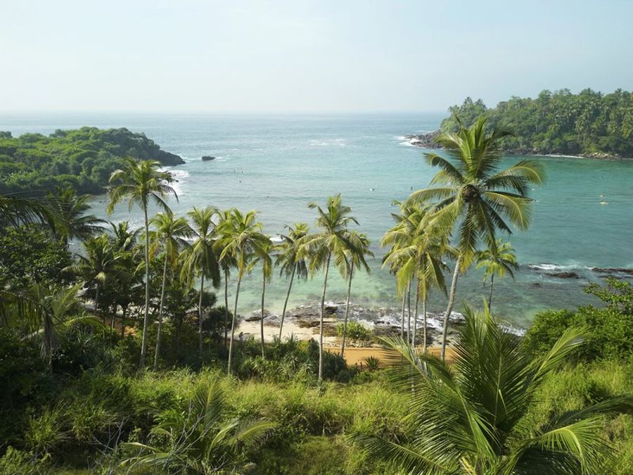 Vue panoramique sur la plage de Hiriketiya, au Sri Lanka, entourée de palmiers et bordée par une eau turquoise