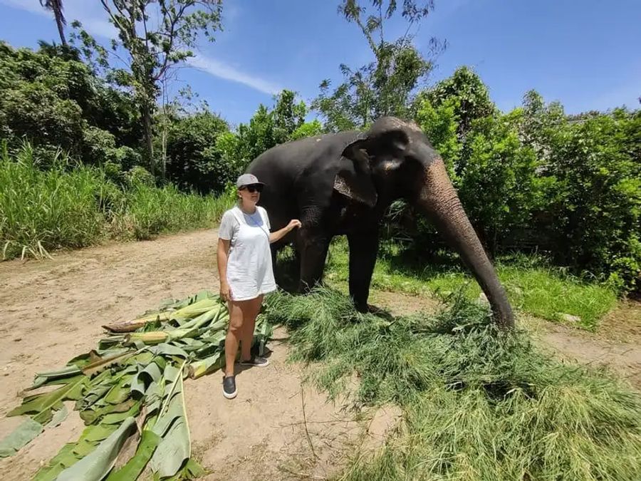 Maud avec un éléphant à Elephant Village Samui 