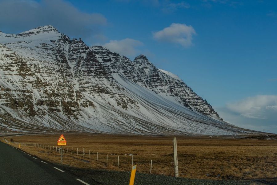 Panneau de signalisation danger bétail sur la Ring Road en Islande face à une montagne couverte de neige en hiver