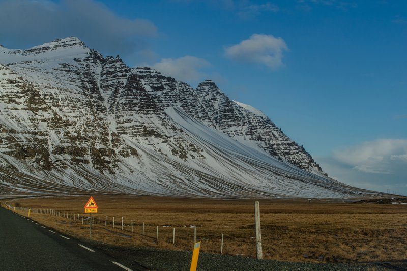 Panneau de signalisation danger bétail sur la Ring Road en Islande face à une montagne couverte de neige en hiver