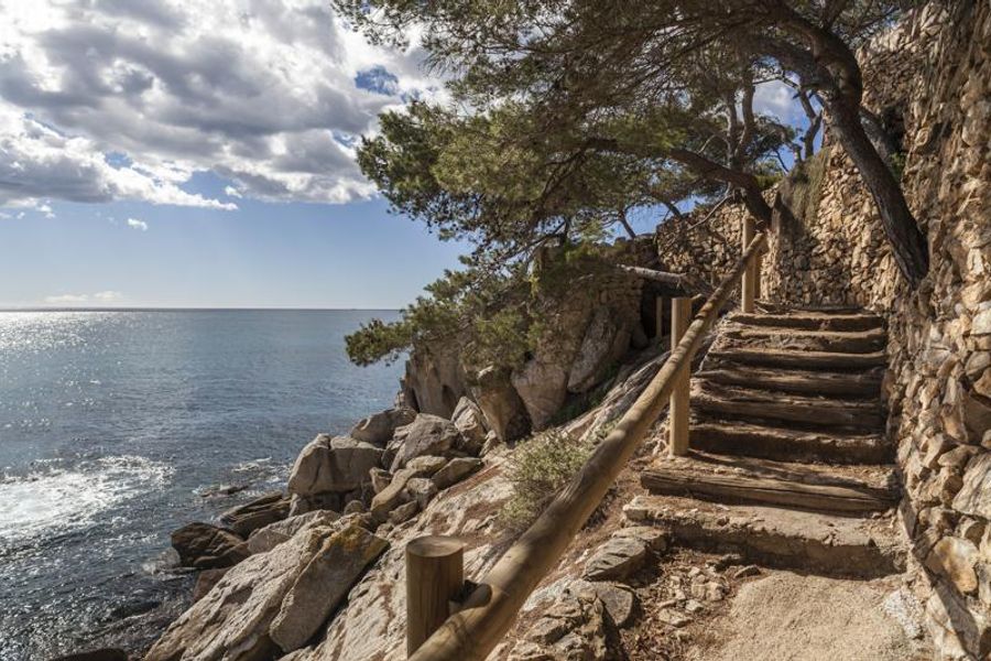 Un sentier pittoresque bordé de rochers et d