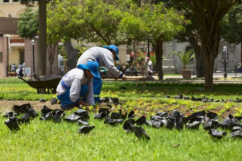 Travailleurs entretenant le parc Kennedy au cœur de Miraflores, Lima.
