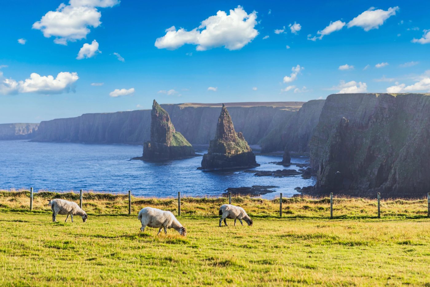 Stacks marins de Duncansby Head sur la côte nord de l’Écosse