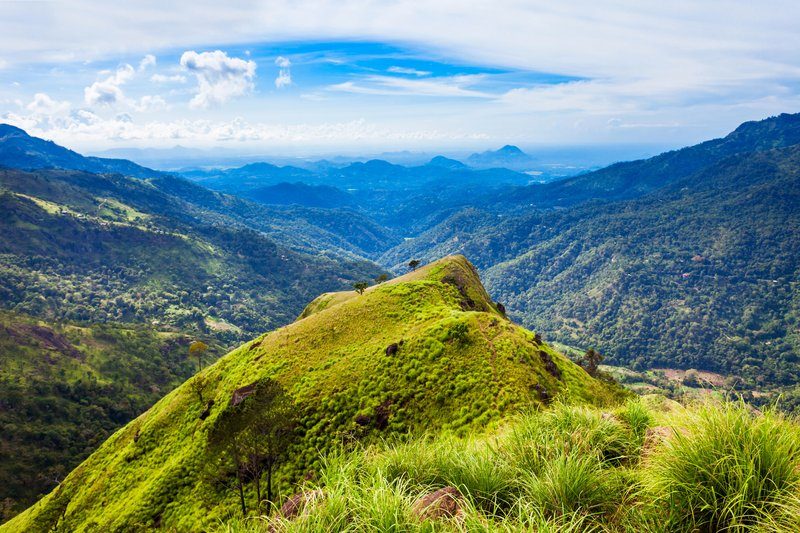 Colline verdoyante offrant une vue panoramique sur une vallée avec des montagnes à l’horizon.