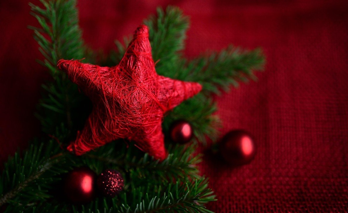 Étoile de Noël rouge posée sur des branches de sapin vert, sur un fond rouge festif.