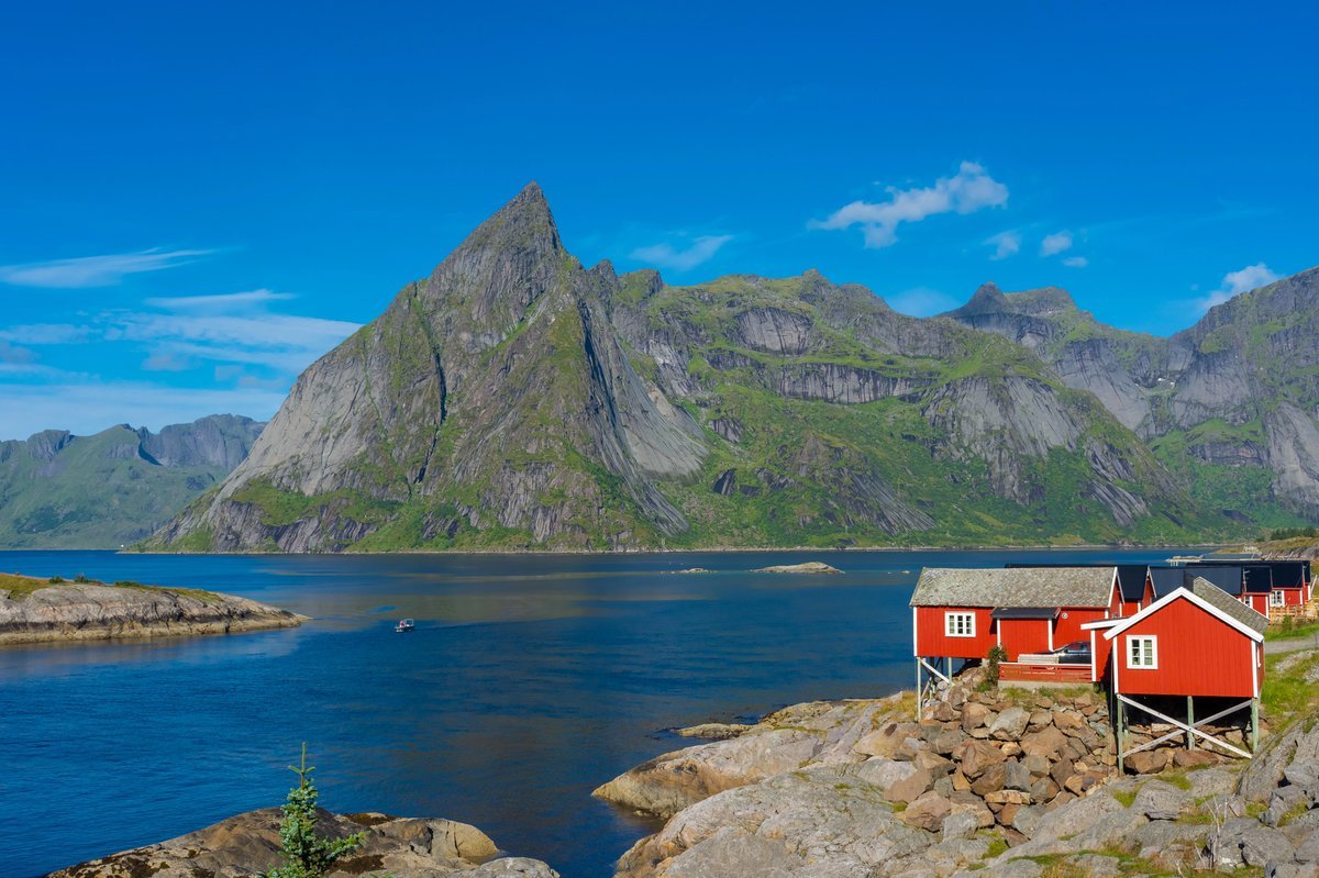 Cabanes rouges en bois au bord d’un fjord dans les îles Lofoten, Norvège, avec montagnes verdoyantes en arrière-plan.