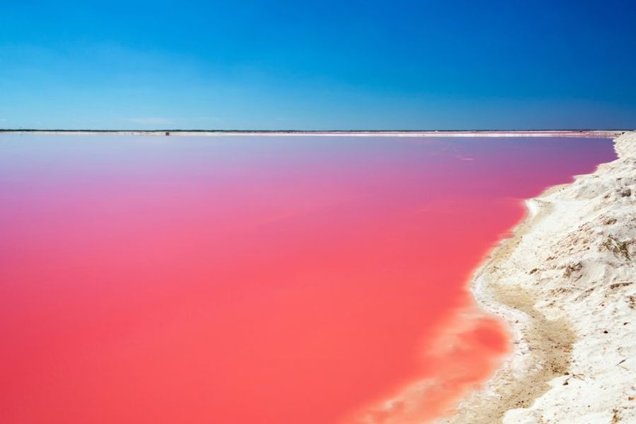 Paysage spectaculaire des eaux roses des Las Coloradas, au Mexique, contrastant avec le bleu éclatant du ciel et les plages de sable blanc.