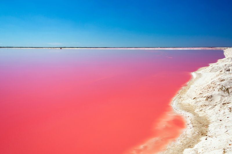 Paysage spectaculaire des eaux roses des Las Coloradas, au Mexique, contrastant avec le bleu éclatant du ciel et les plages de sable blanc.
