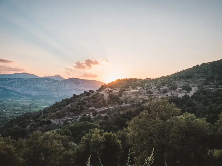 Vue de l