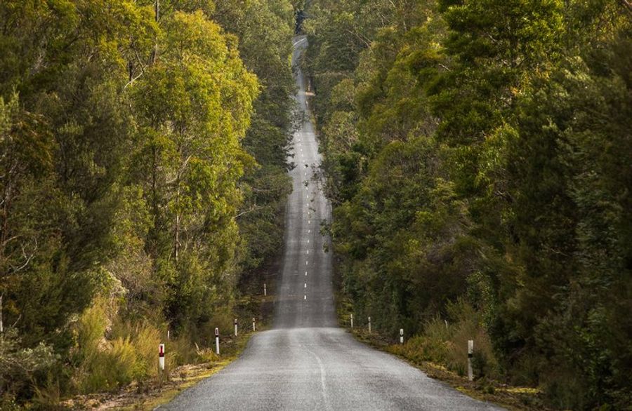 Route et vignobles de la région de Margaret River en Australie Occidentale