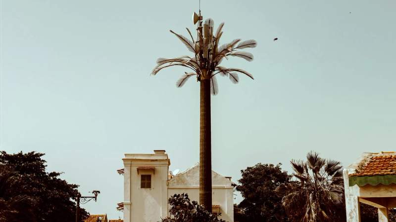 Structure ressemblant à un palmier avec des équipements technologiques au sommet, installée près d’un bâtiment blanc dans un environnement arboré, sous un ciel dégagé.