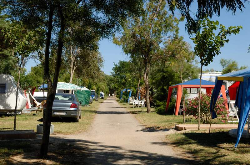 Allée d'un camping à Marseillan-Plage avec des tentes et caravanes