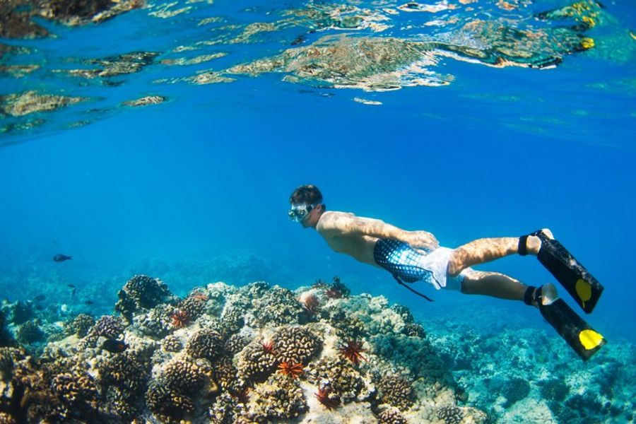 Un plongeur pratiquant le snorkeling explore un récif corallien coloré dans des eaux cristallines.