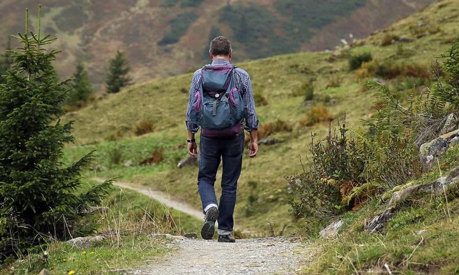 Un randonneur marche sur un sentier de montagne verdoyant avec un sac à dos.