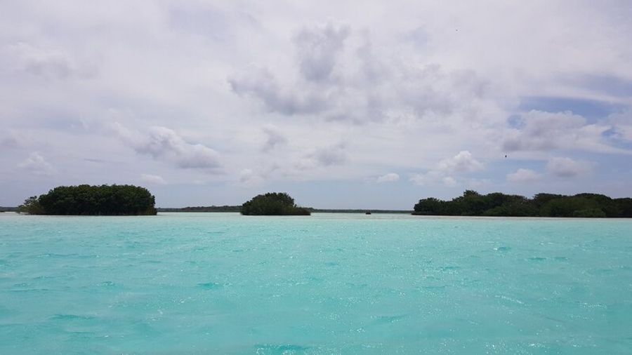 Vue sur l'île aux oiseaux à Bacalar