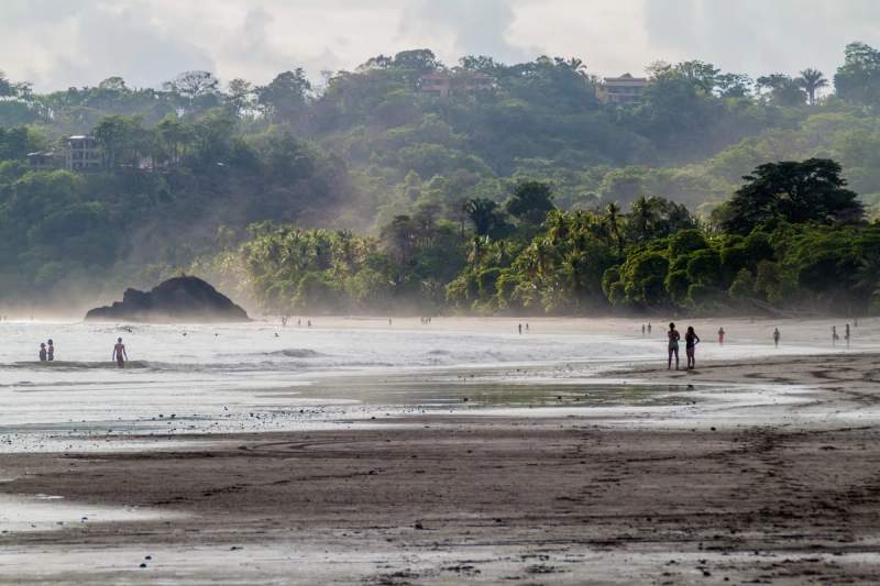 Vue sur la plage de Manuel Antonio avec des palmiers luxuriants en arrière-plan et des personnes profitant de l'eau en bord de mer.