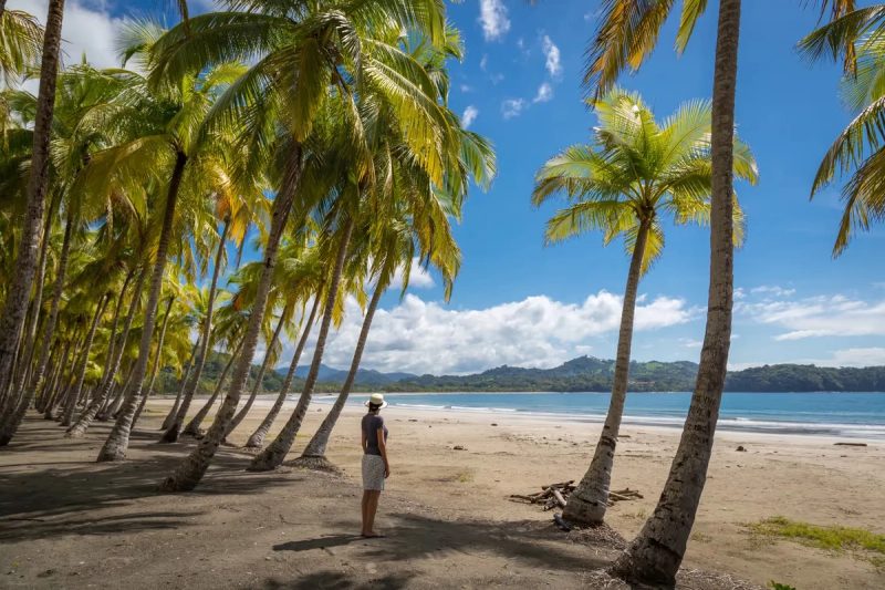 Une plage et ses cocotiers à Samara au Costa Rica