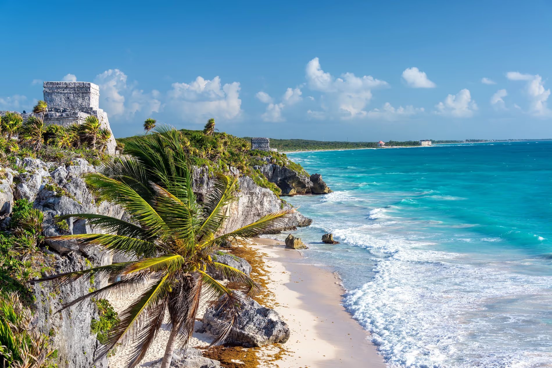Vue spectaculaire des ruines mayas de Tulum sur une falaise surplombant la mer des Caraïbes, avec des palmiers, des plages de sable fin, et des eaux turquoise étincelantes sous un ciel bleu dégagé.