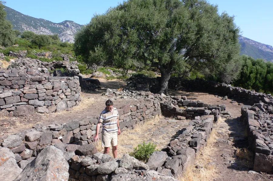 Site du Nuraghe Mannu