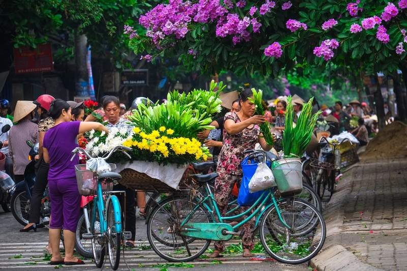 Femmes vietnamiennes vendant des fleurs fraîches sur des vélos au marché de Quang Ba à Hanoï.