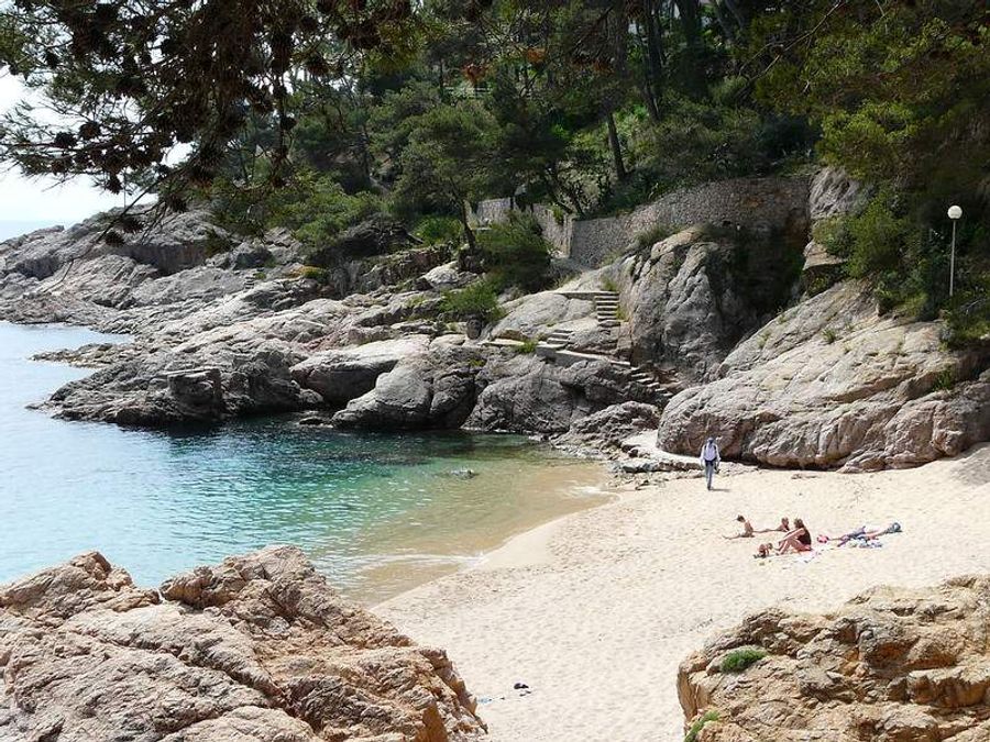 Petite crique tranquille avec plage de sable fin à Tamariu, entourée de rochers et de végétation.