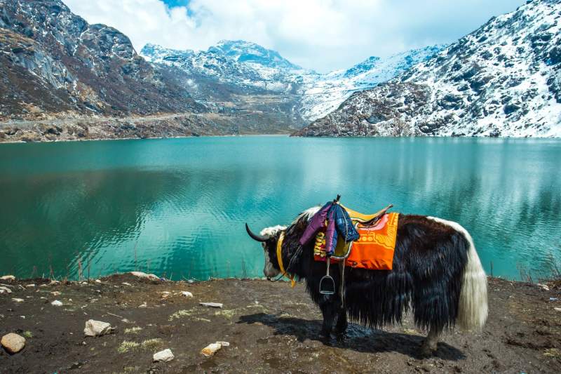 Le lac de Tsango à Sikkim en Inde