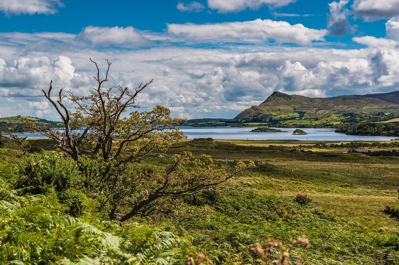 Paysage vallonné et verdoyant du parc national du Connemara.