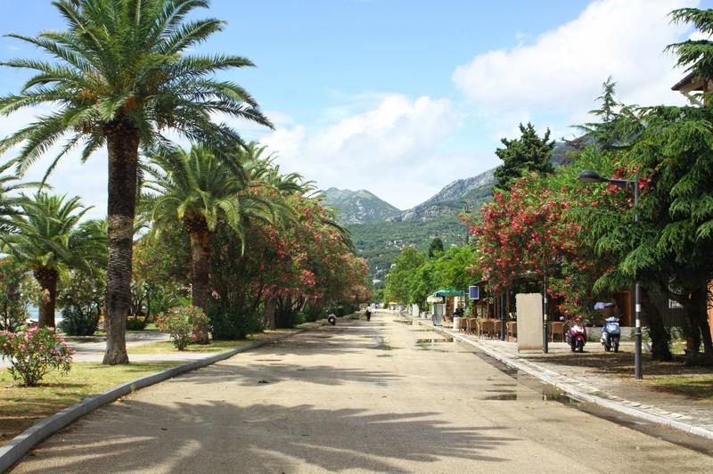 Promenade en bord de mer à Bar au Monténégro bordée de palmiers et cafés