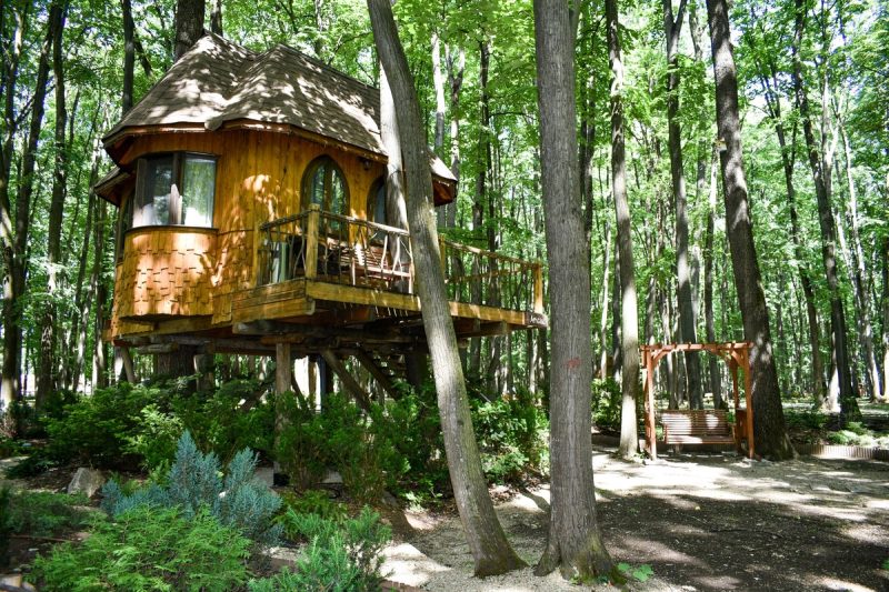 Cabane en bois perchée dans les arbres au milieu d’une forêt verdoyante, avec une terrasse en bois et un banc suspendu à proximité.