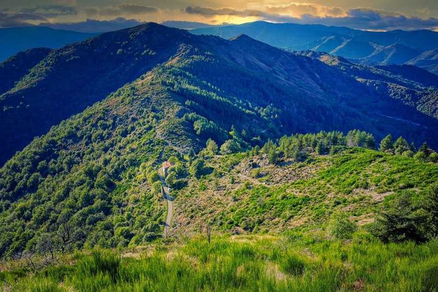 Vue panoramique des montagnes et forêts verdoyantes des Cévennes en France, capturée au coucher du soleil avec des couleurs vibrantes et des détails saisissants.