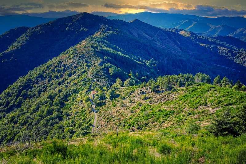 Vue panoramique des montagnes et forêts verdoyantes des Cévennes en France, capturée au coucher du soleil avec des couleurs vibrantes et des détails saisissants.