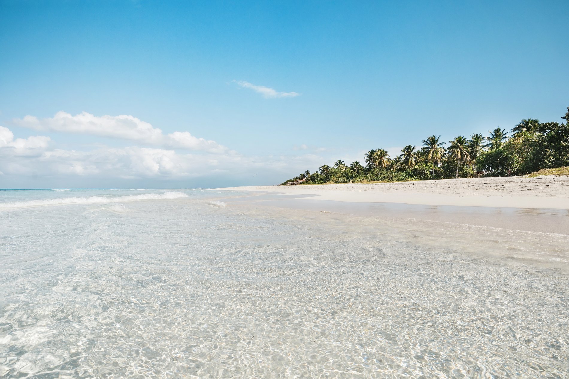 Plage paradisiaque à Cuba avec sable blanc, eau turquoise cristalline et palmiers sous un ciel ensoleillé.