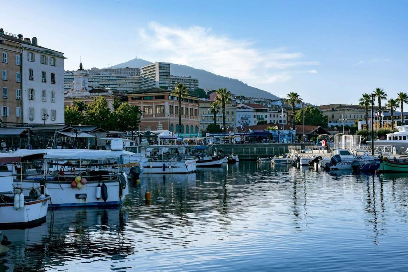 Vue du port d’Ajaccio en Corse avec bateaux, palmiers et montagnes en arrière-plan, idéale pour des vacances de dernière minute en bord de mer.