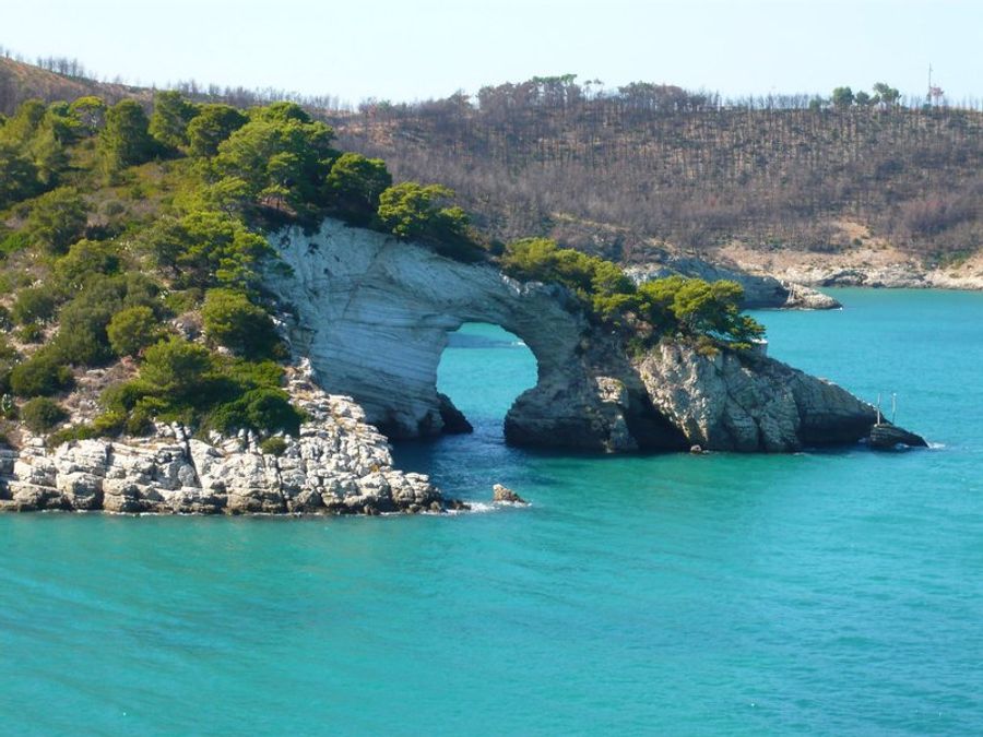 Vue panoramique du parc national du Gargano avec ses falaises et ses forêts de pins.