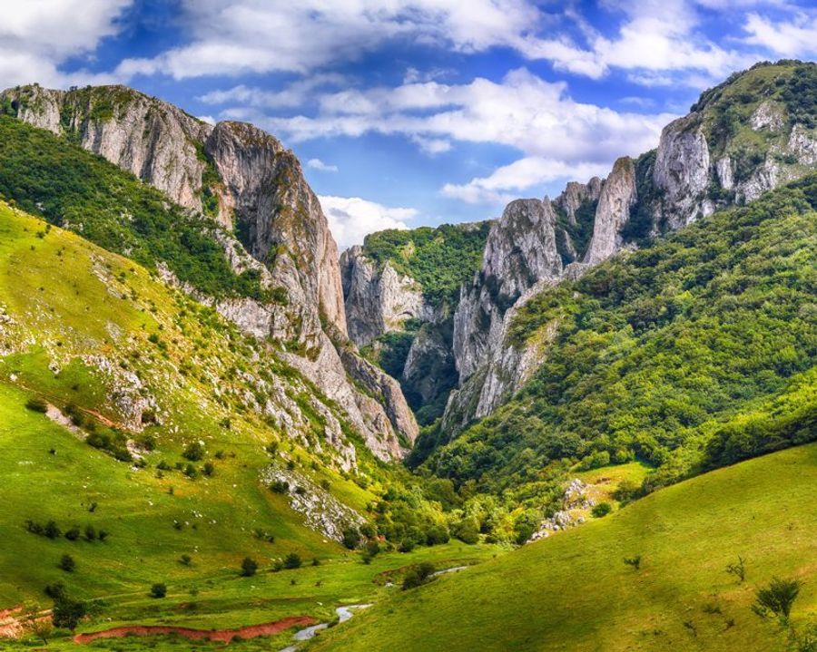 Paysage verdoyant des gorges de Turda avec des falaises imposantes.