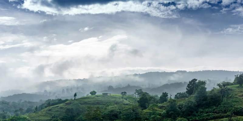 Une vue aérienne de la forêt dans les nuages au Costa Rica