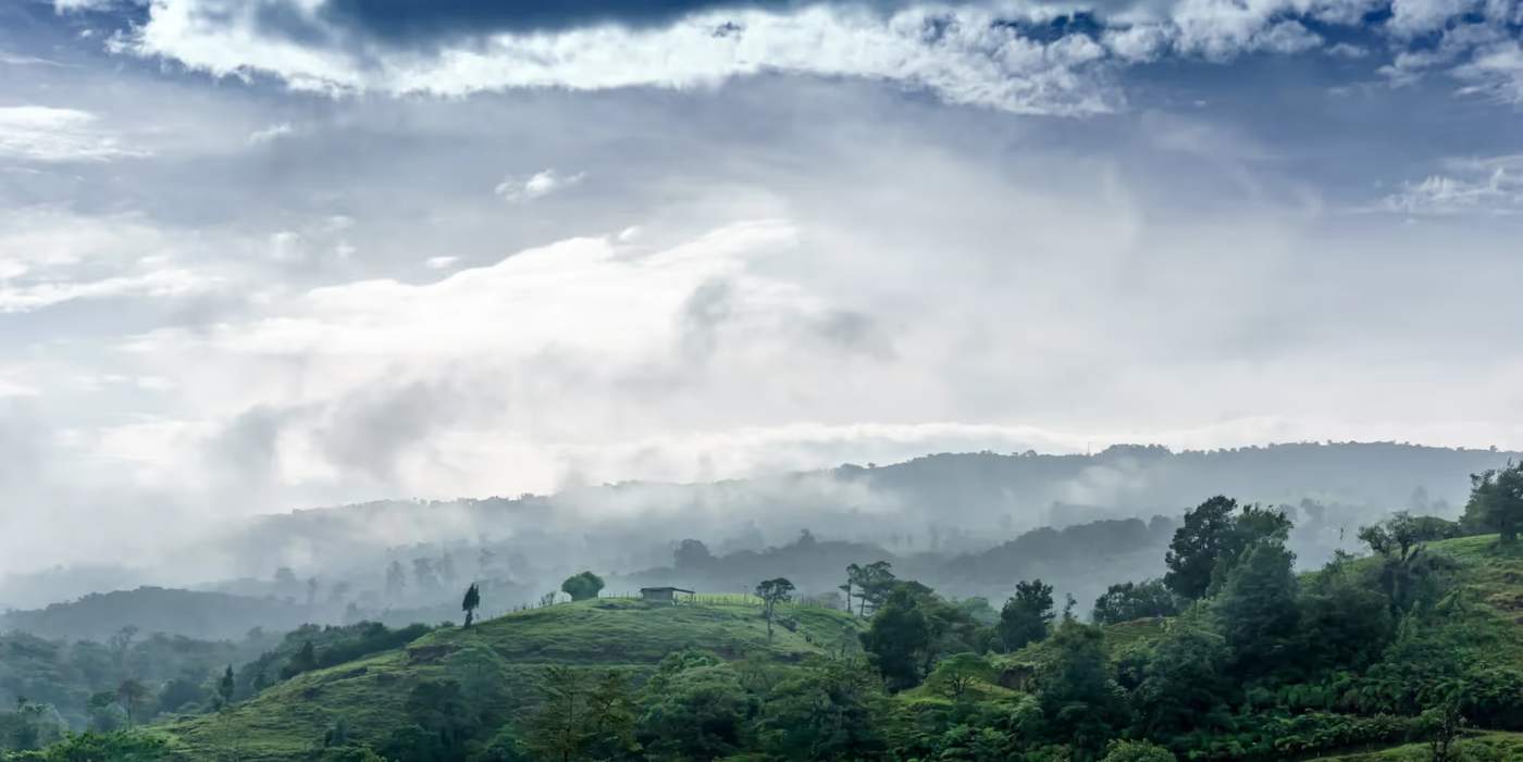 Une vue aérienne de la forêt dans les nuages au Costa Rica