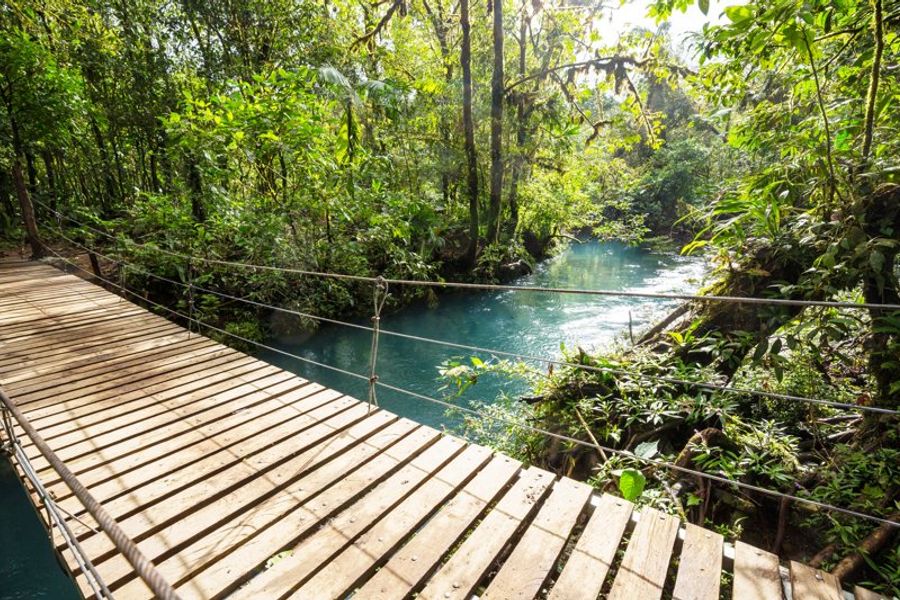 Pont suspendu traversant la forêt de nuages de Monteverde au-dessus d’une rivière turquoise