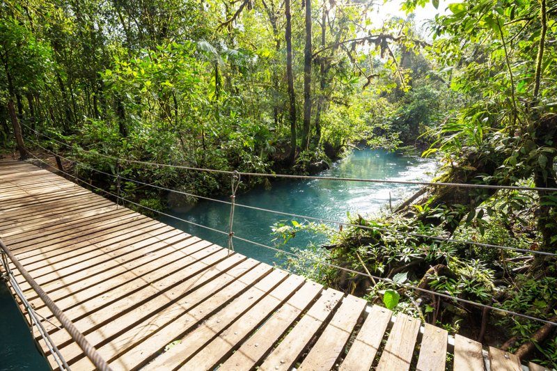 Pont suspendu traversant la forêt de nuages de Monteverde au-dessus d’une rivière turquoise