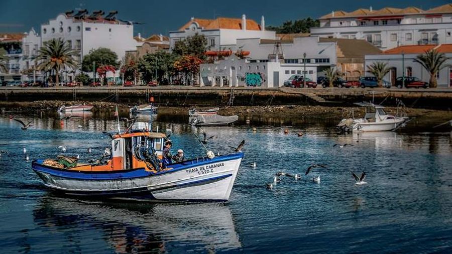 Vue du port de Tavira, Algarve, Portugal, avec des bateaux de pêche et des bâtiments blancs.