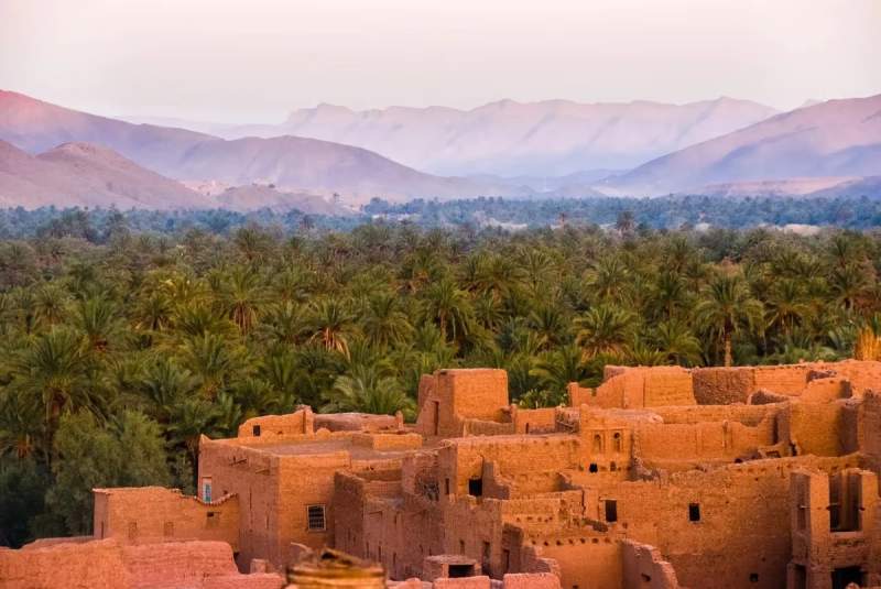 Vue d’une kasbah en terre cuite entourée d’une vaste palmeraie, avec les montagnes de l’Atlas en arrière-plan sous une lumière douce du soir.