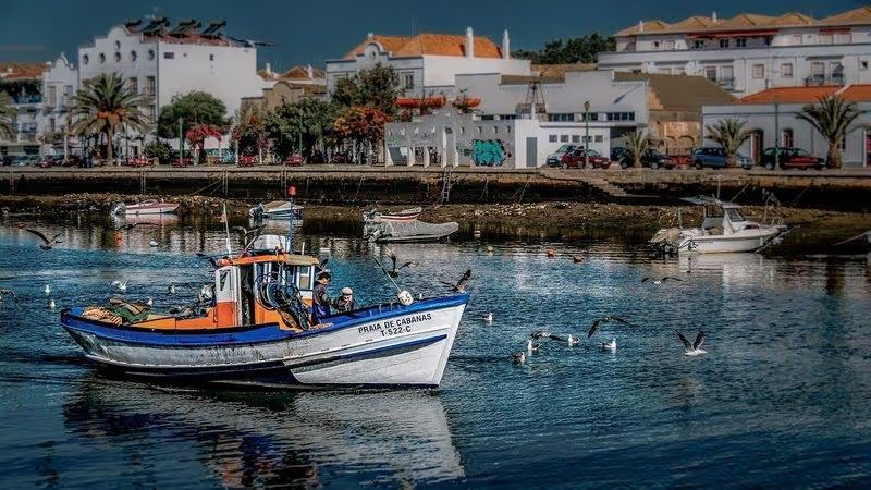 Bateau de pêche dans le port de Tavira avec des mouettes en vol.