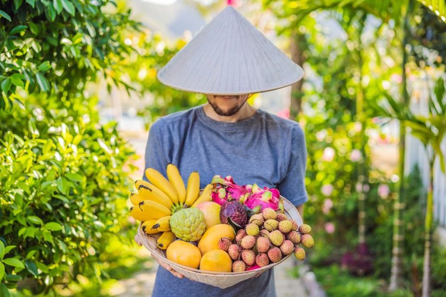 Homme vietnamien portant un chapeau conique et un panier de fruits tropicaux dans un jardin à Vinh Long