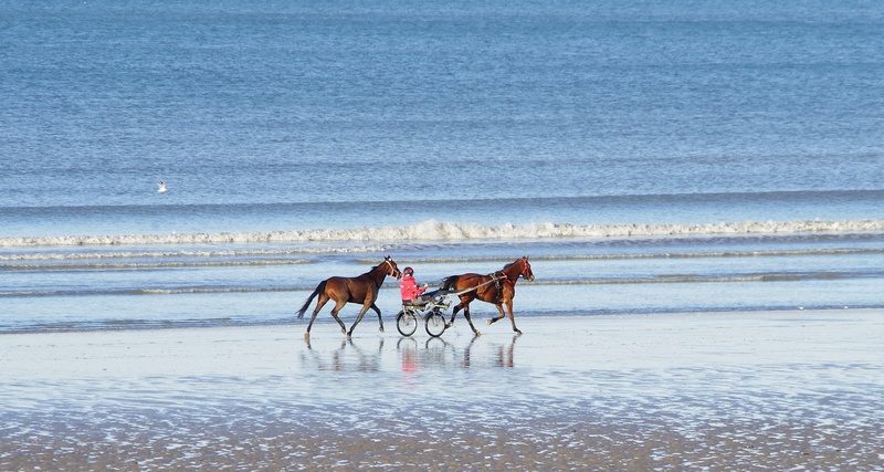 Faire du cheval à Cabourg