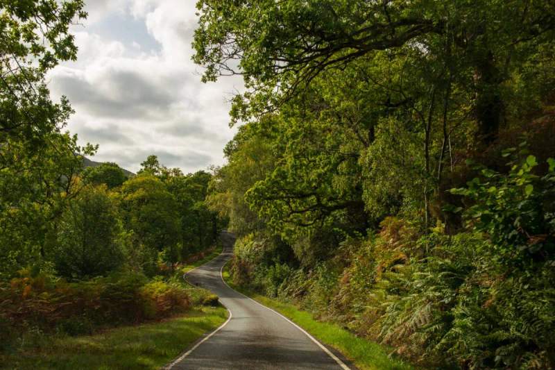 Une route en Martinique