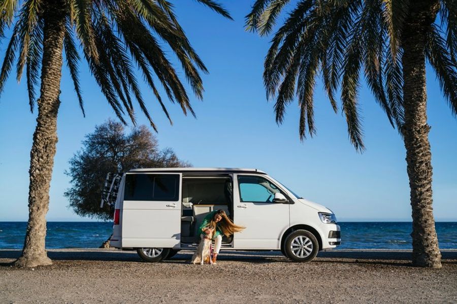 Femme avec son chien devant un van aménagé stationné en bord de mer, entouré de palmiers