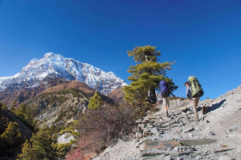 Deux randonneurs sur un sentier de l’Himalaya avec l’Annapurna enneigé en arrière-plan